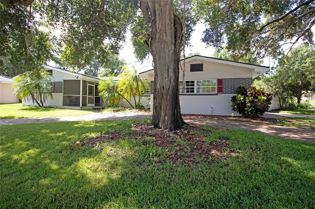 Property Photo:  2311 Lorena Lane  FL 33765 