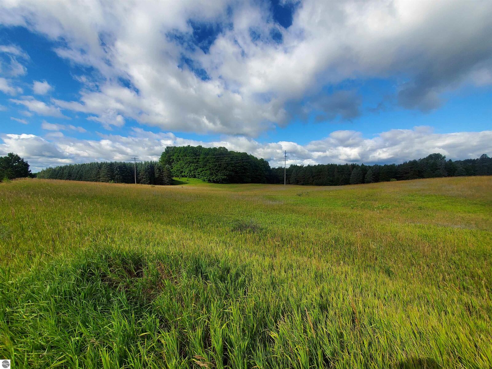 Property Photo:  0 S 39 Road  MI 49601 