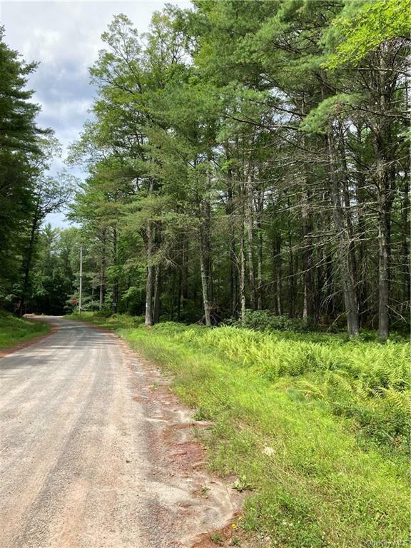 Property Photo:  Trout Pond Road Tr 288 Trail  NY 12764 