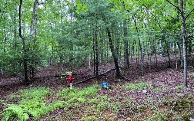 Property Photo:  1.16a Cross Creek  GA 30513 