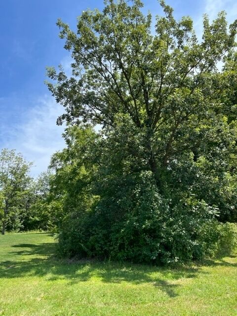 Property Photo: 21035 Mayfair Court IL 60448