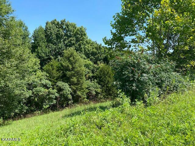 Lot 255 Marble Point Way  New Tazewell TN 37825 photo