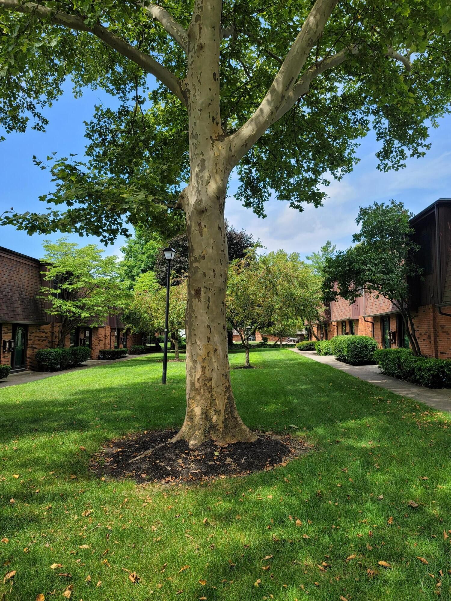 Property Photo:  397 Shell E Court  OH 43213 