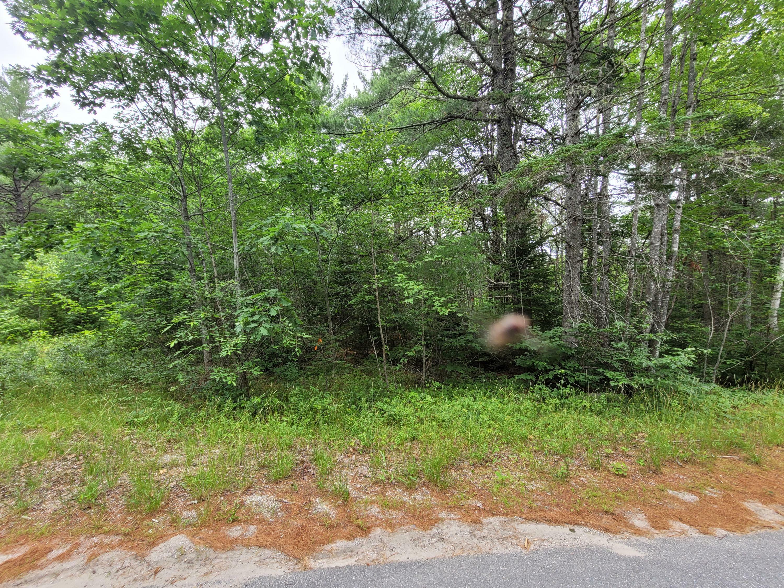 Property Photo:  Lot 2 Goodwin Road  ME 04634 