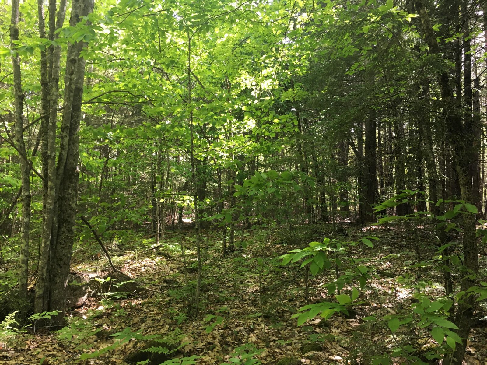 Property Photo:  00 Bryant Road  ME 04973 