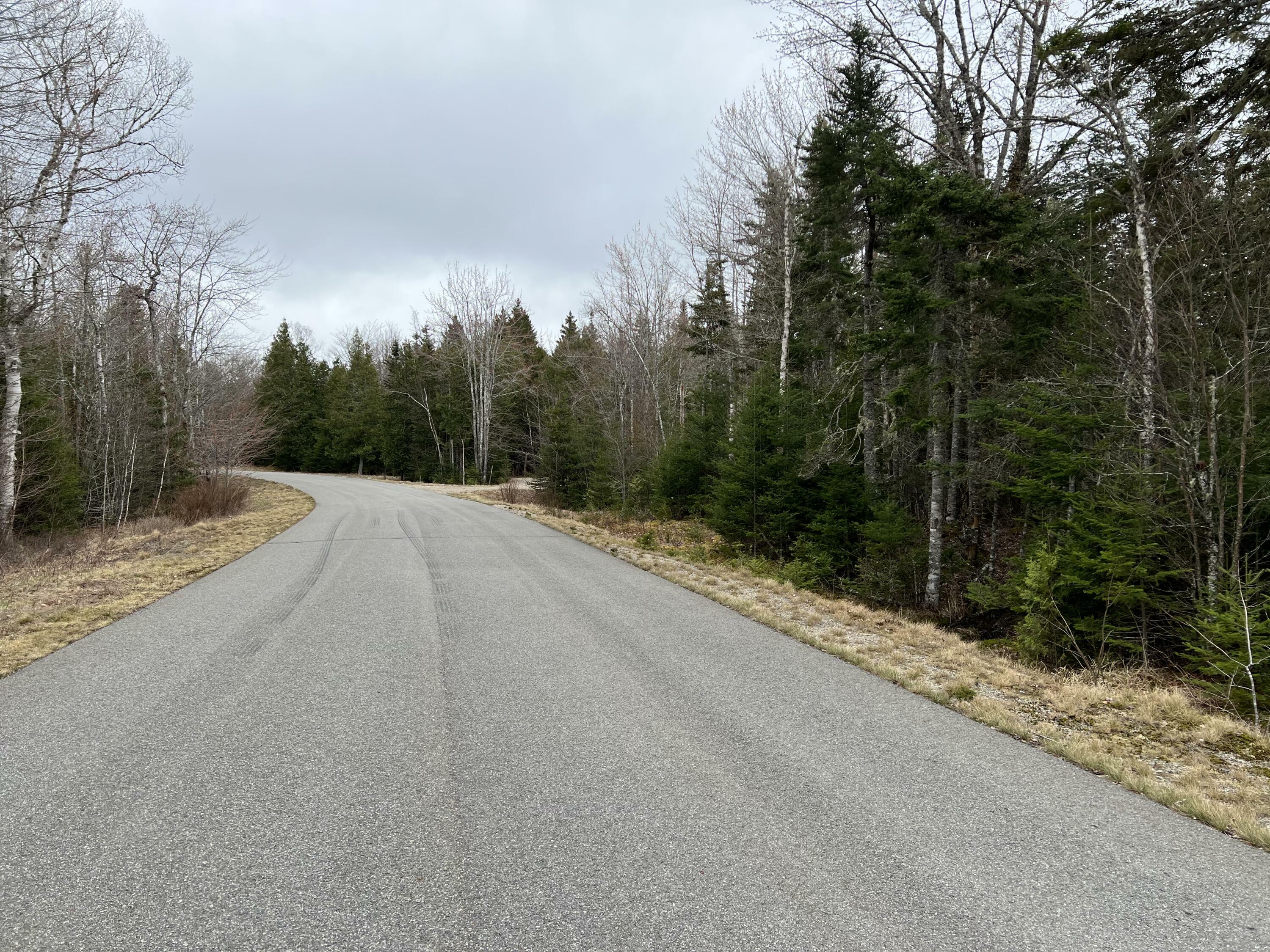 Property Photo:  0 Merganser Drive Lot 12  ME 04607 