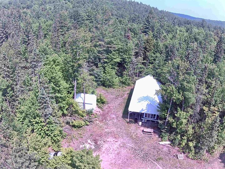 Property Photo:  80 Acres Off Co Rd 510 Road  MI 49849 