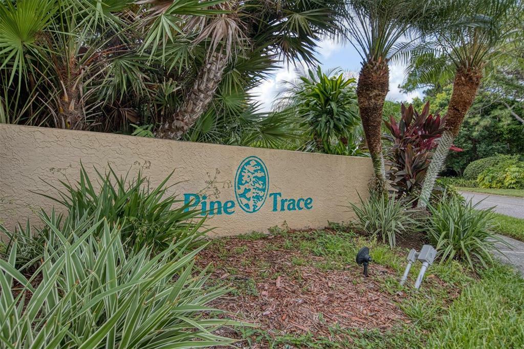 Property Photo:  7767 Pine Trace Drive  FL 34243 