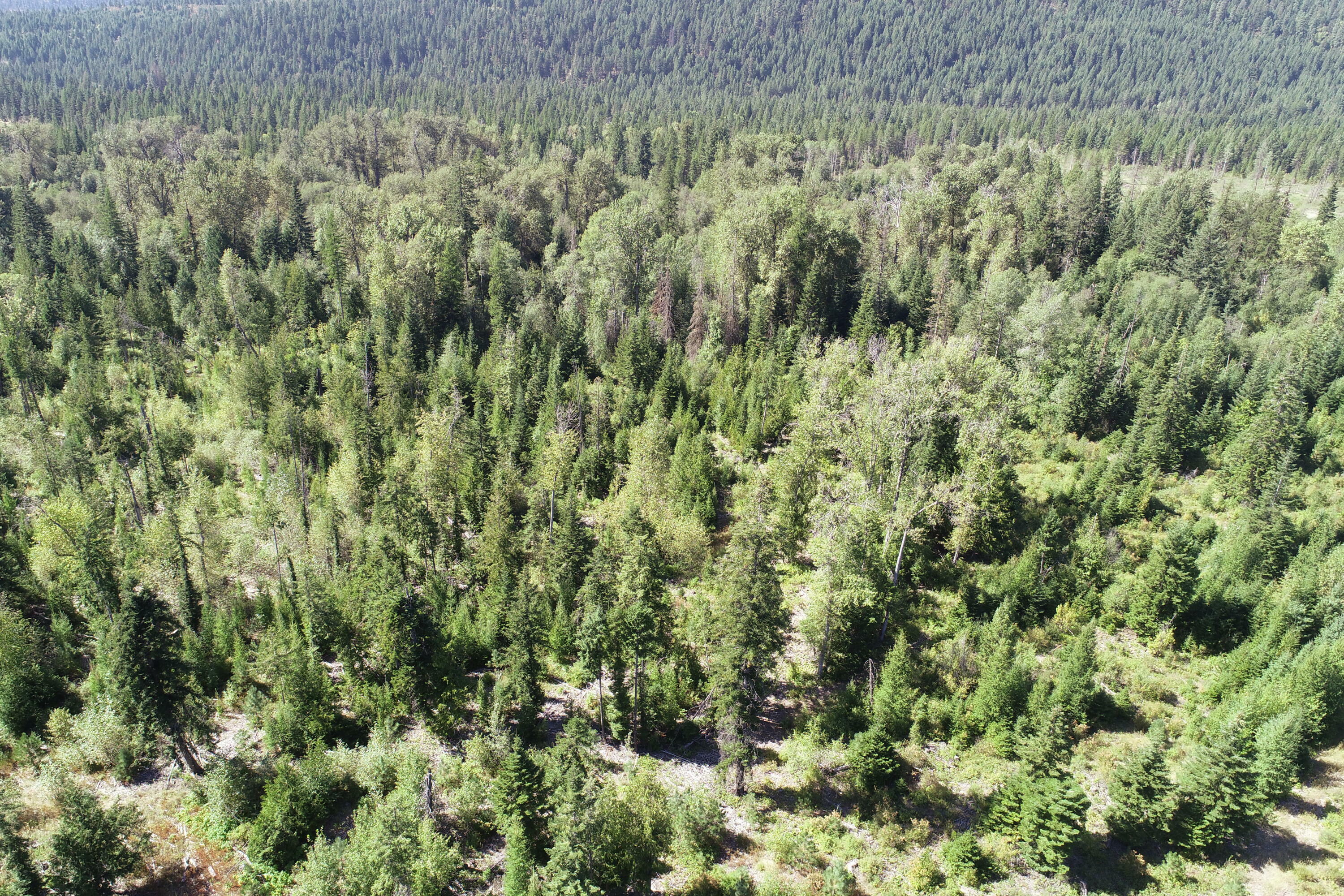 Property Photo:  Xxx Hall Creek Rd  WA 99138 