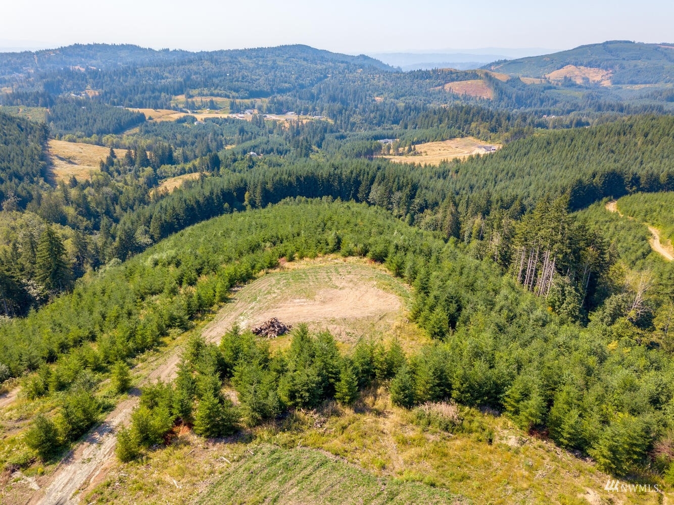 Property Photo:  415 Bootjack Lane  WA 98626 