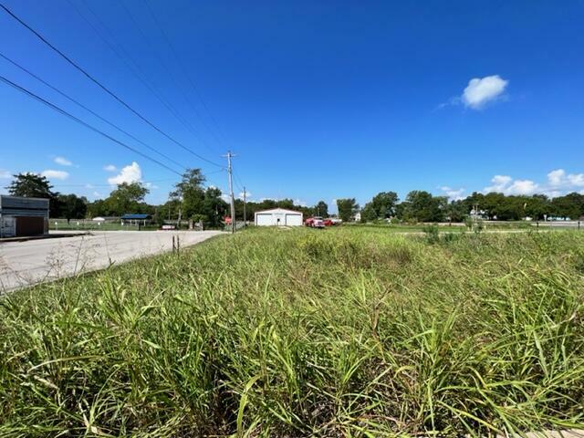 Property Photo: 000 Diggins Street MO 65692