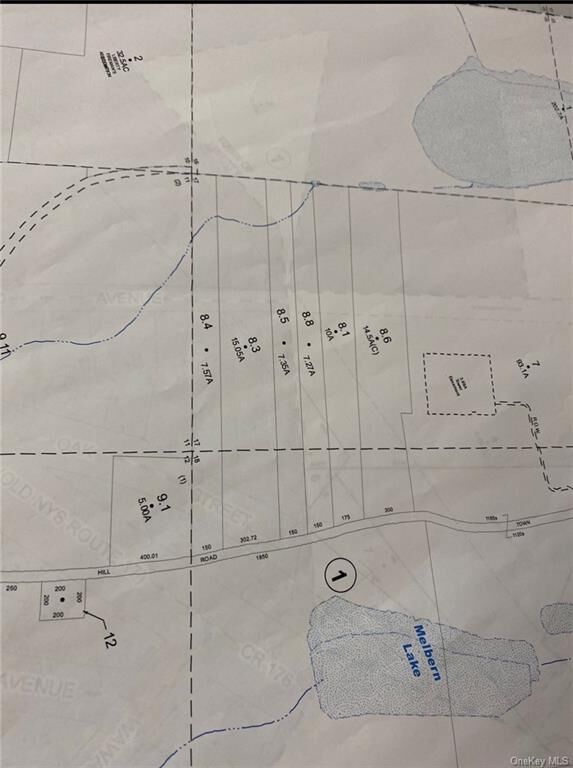 Property Photo:  Revonah Hill Road  NY 12754 