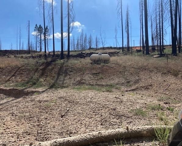 7156 Winding Way  Grizzly Flats CA 95636 photo