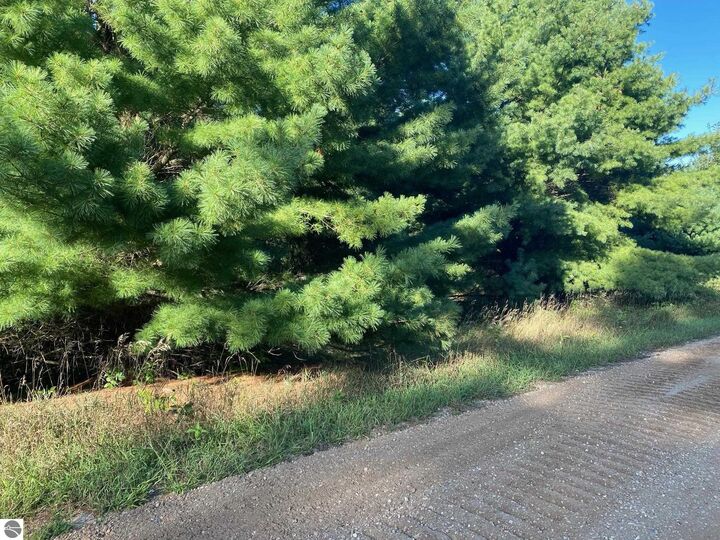 Property Photo:  Allegheny Trail  MI 49631 