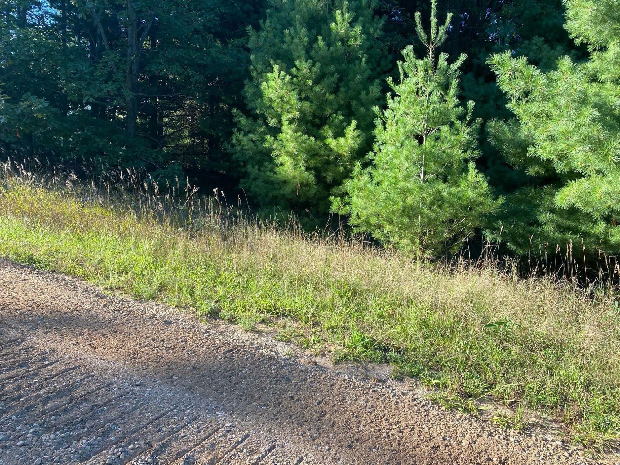 Property Photo: Allegheny Trail MI 49631