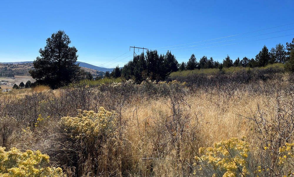 Property Photo:  Lot 79 Peregrine Heights  OR 97601 