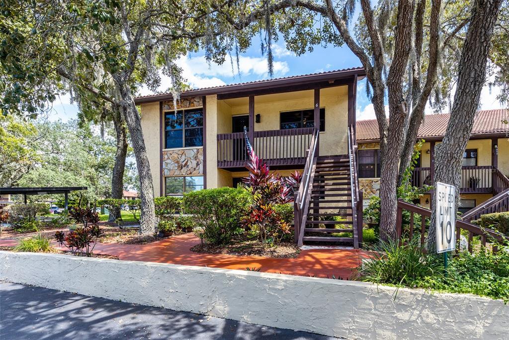 Property Photo: 7650 Forest Trail 6 FL 34668