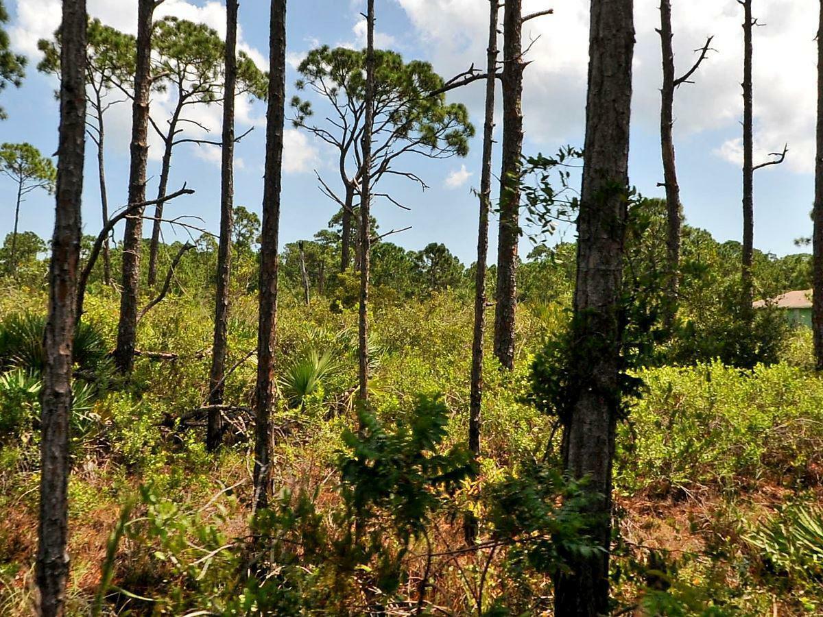 4942 Tree Top Trail  Fort Pierce FL 34951 photo