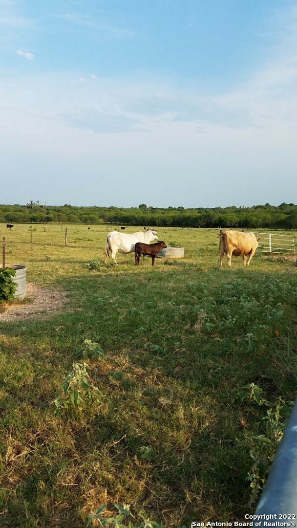 Property Photo: 13857 US Highway 87 S TX 78101
