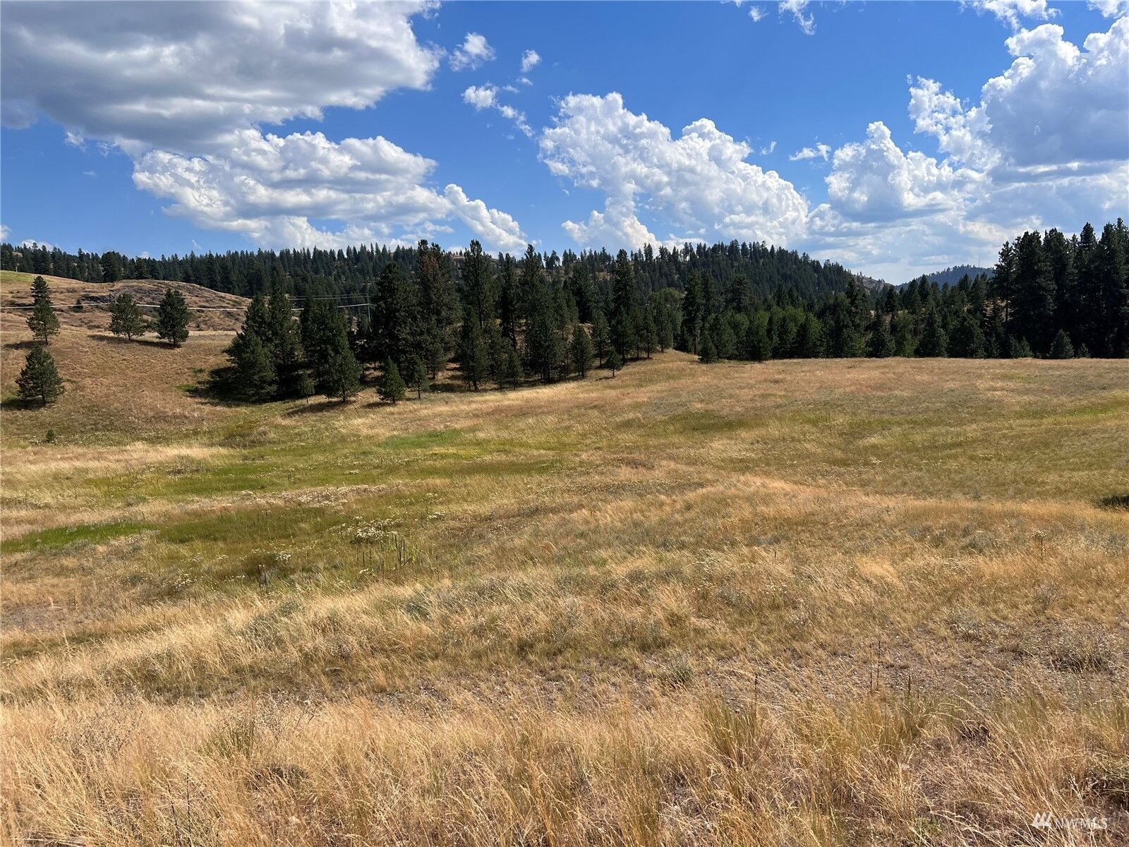 Property Photo:  0 Lot 27 Curlew Drive  WA 99166 