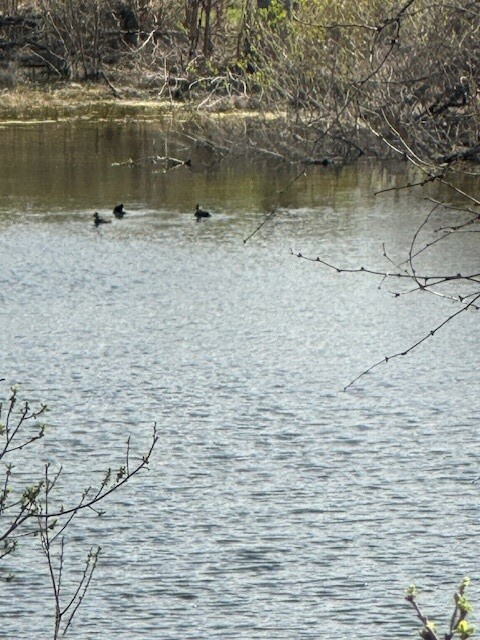 Property Photo: Tbd Mountain Dew TX 78657