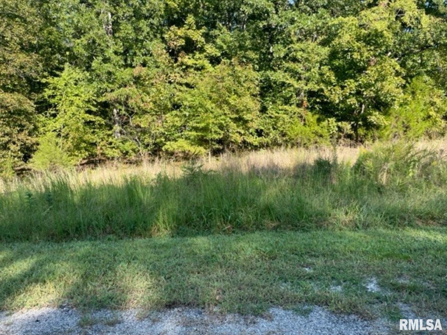 Property Photo: Lot 48 &Amp 49 Chariot Court IL 62939