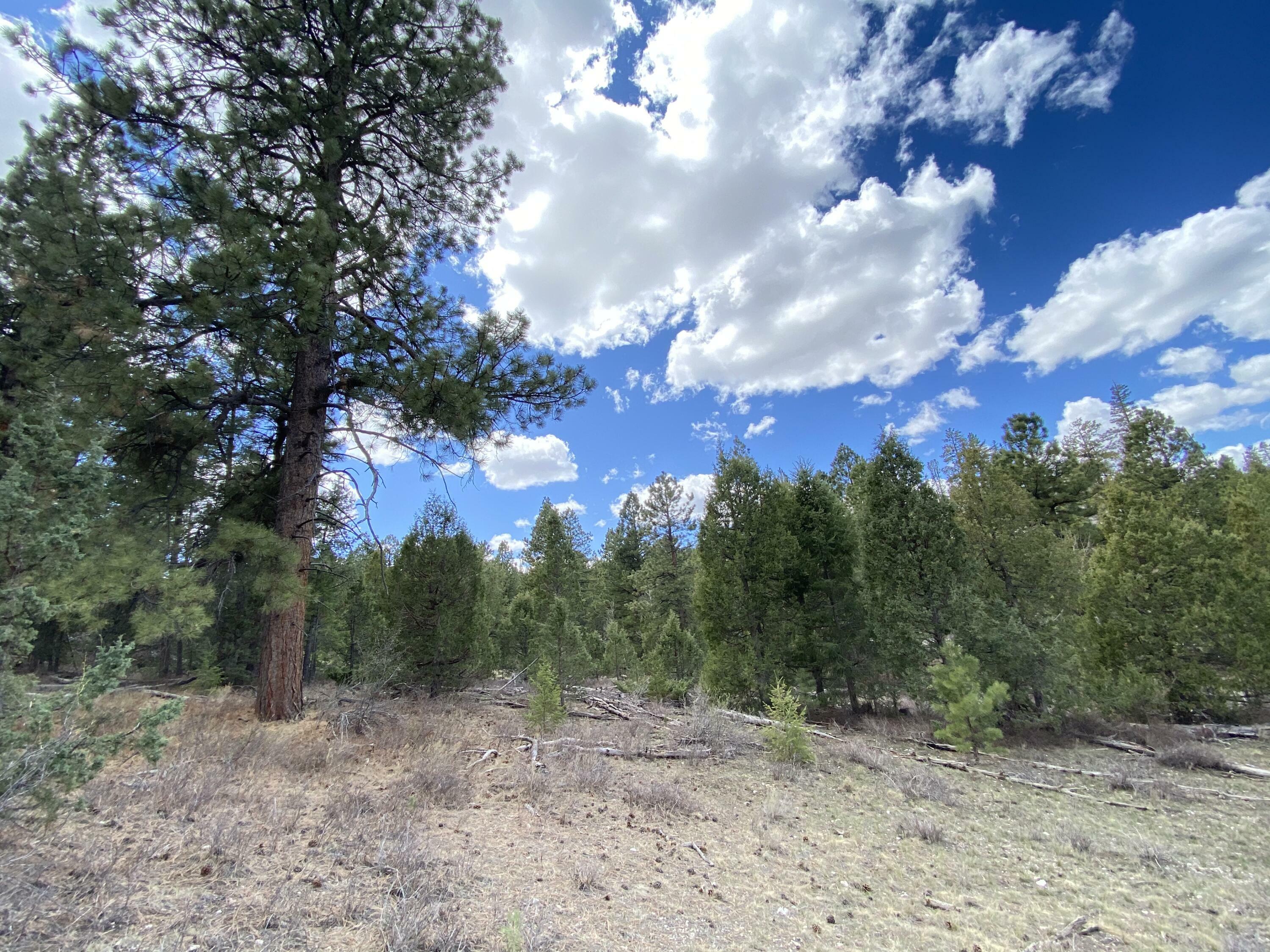 Property Photo:  10 Elk Meadows Drive  UT 84762 