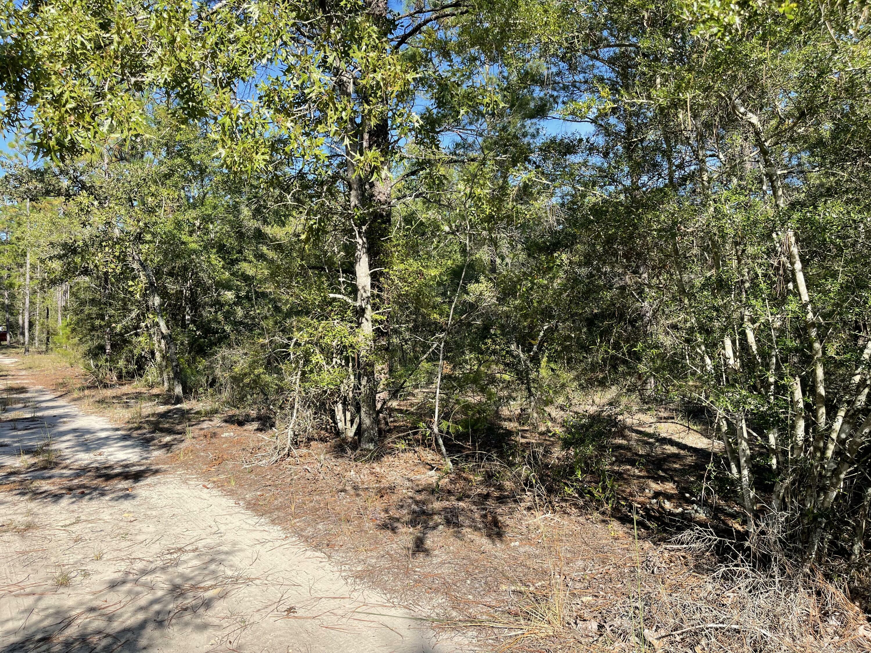 Property Photo:  Lots Xxxx E Elder Box Drive  FL 32433 