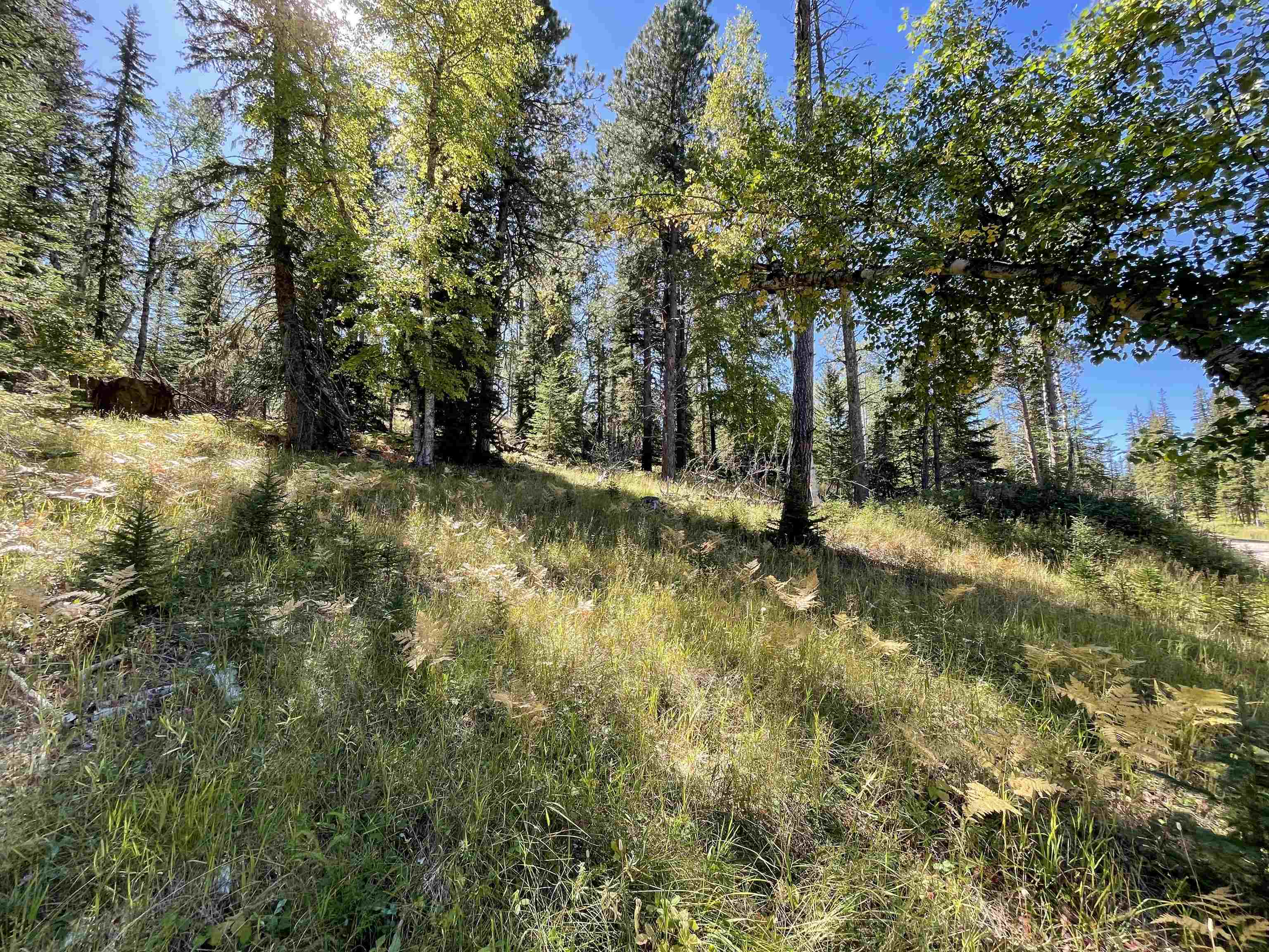 Property Photo:  Lot 42 Woodland Springs Road  SD 57754 