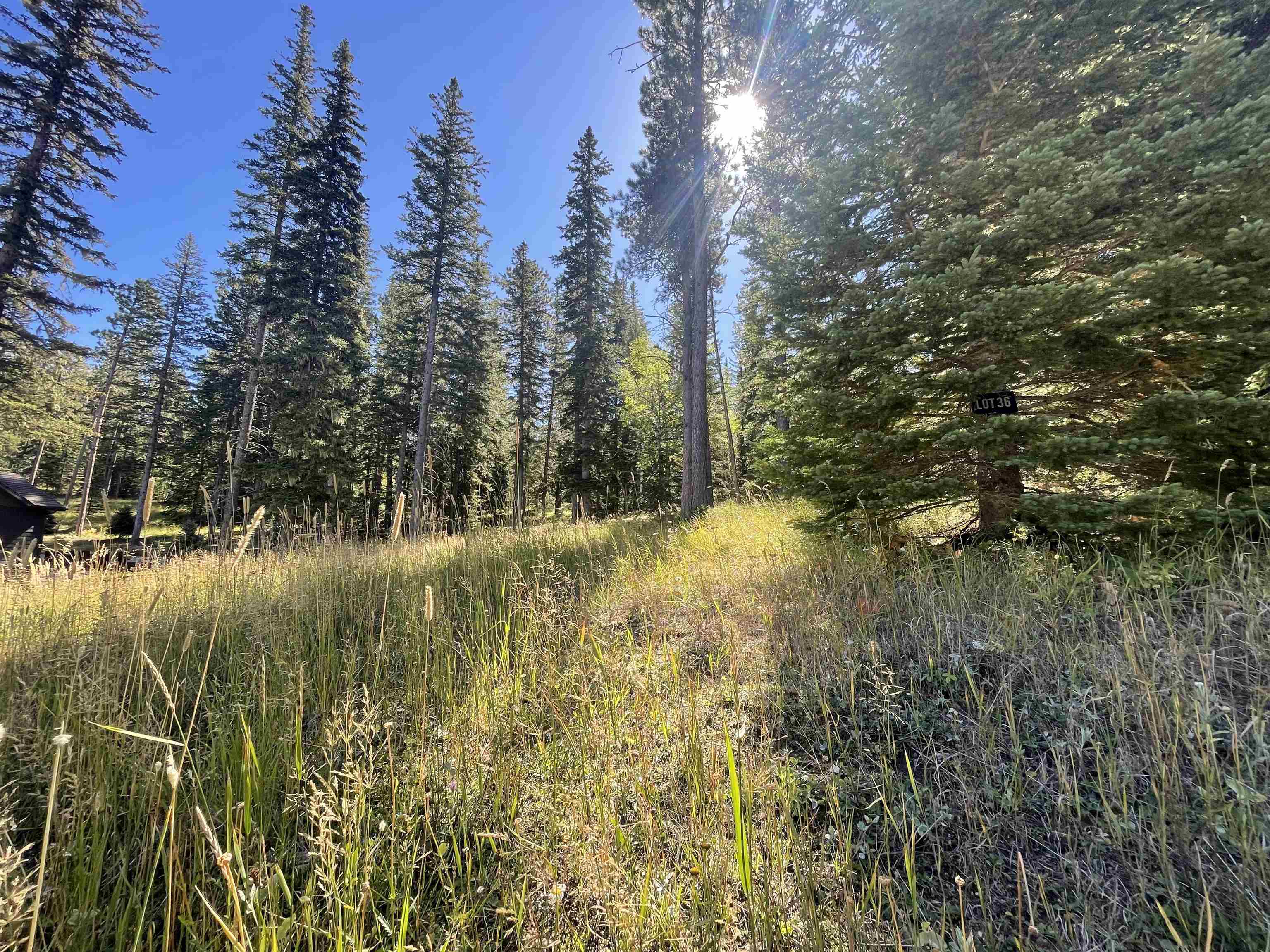 Property Photo:  Lot 36 Woodland Springs Road  SD 57754 