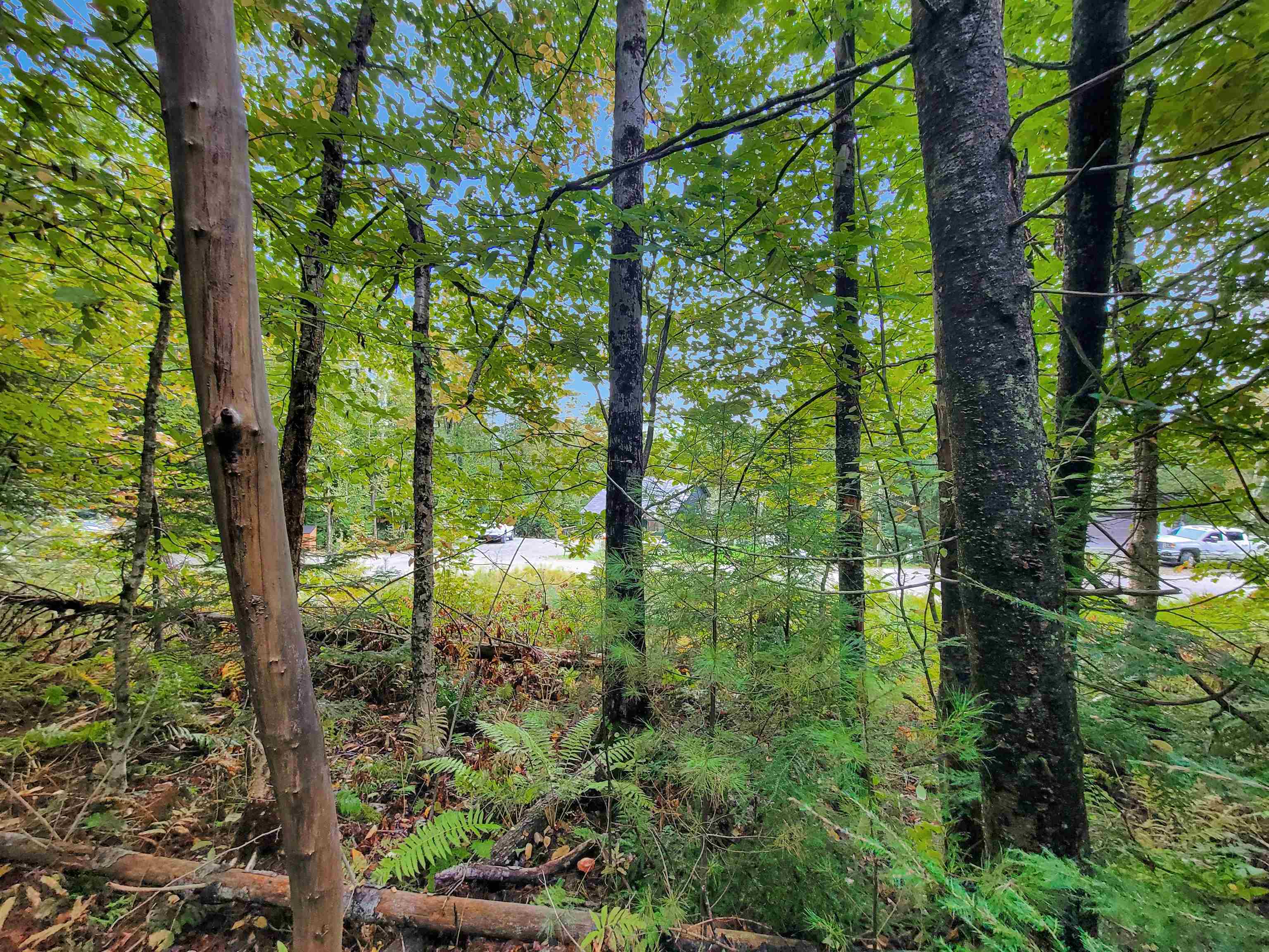 Property Photo: 201-096 Lakeside Drive NH 03784