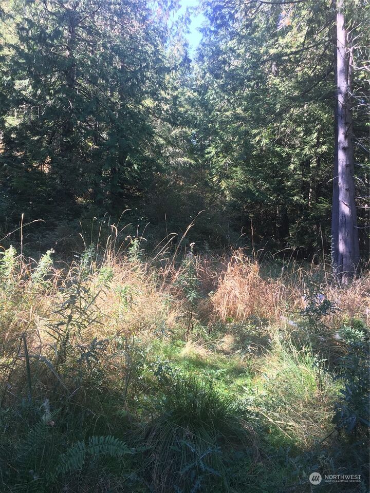 Property Photo:  373 Biendl Road  WA 98286 