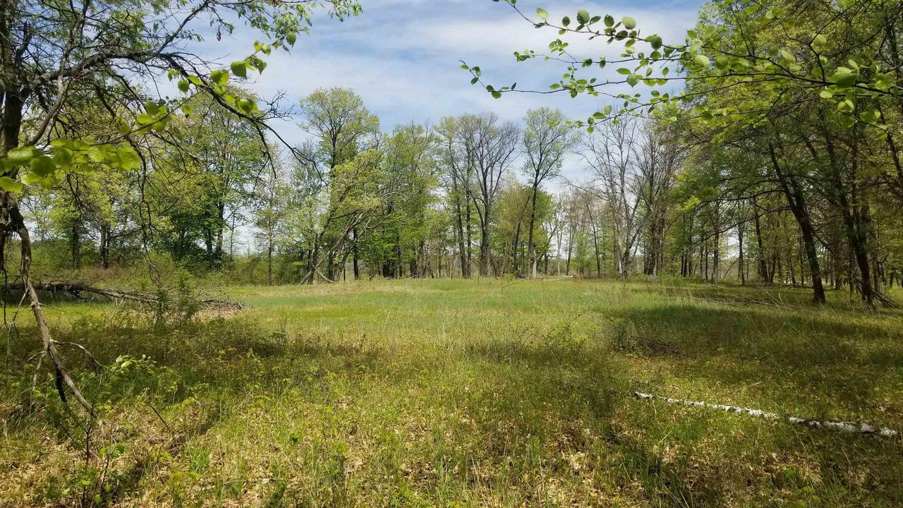 Property Photo:  60 Ac Cottonville Ln  WI 54930 