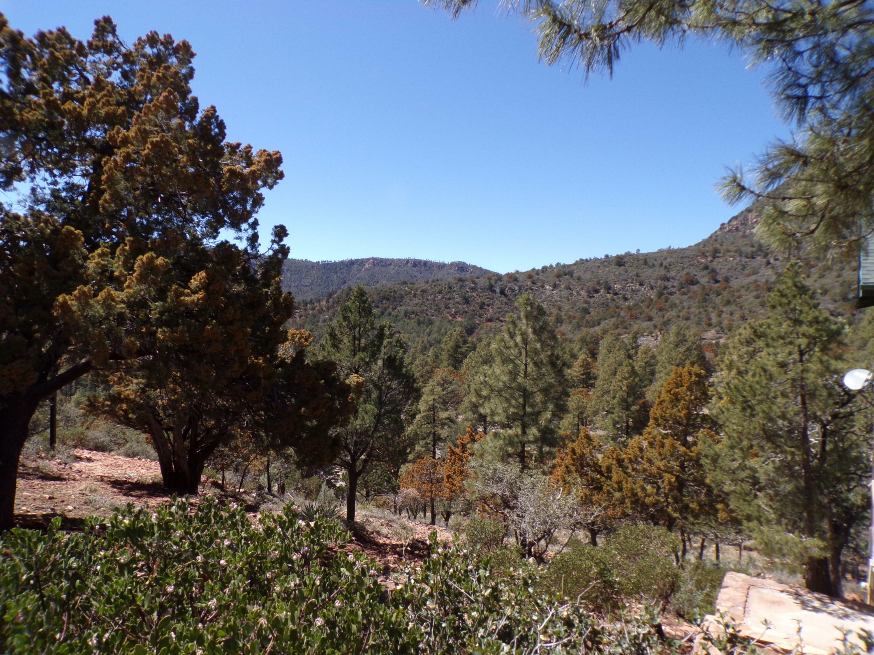 Property Photo:  Lot 127 N Portal Drive  AZ 85544 