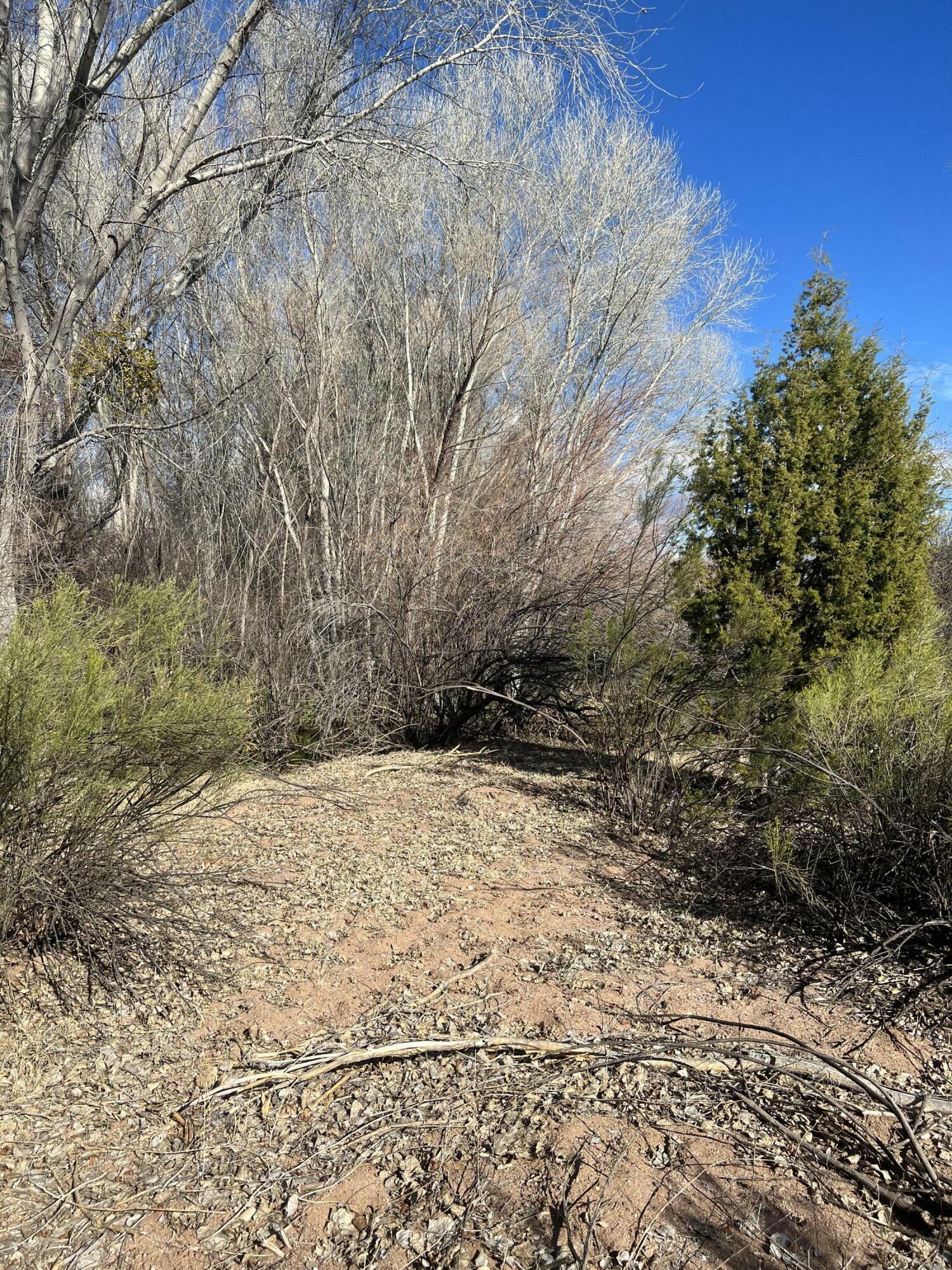 80&81 S Old Meadow Lane  Payson AZ 85541 photo