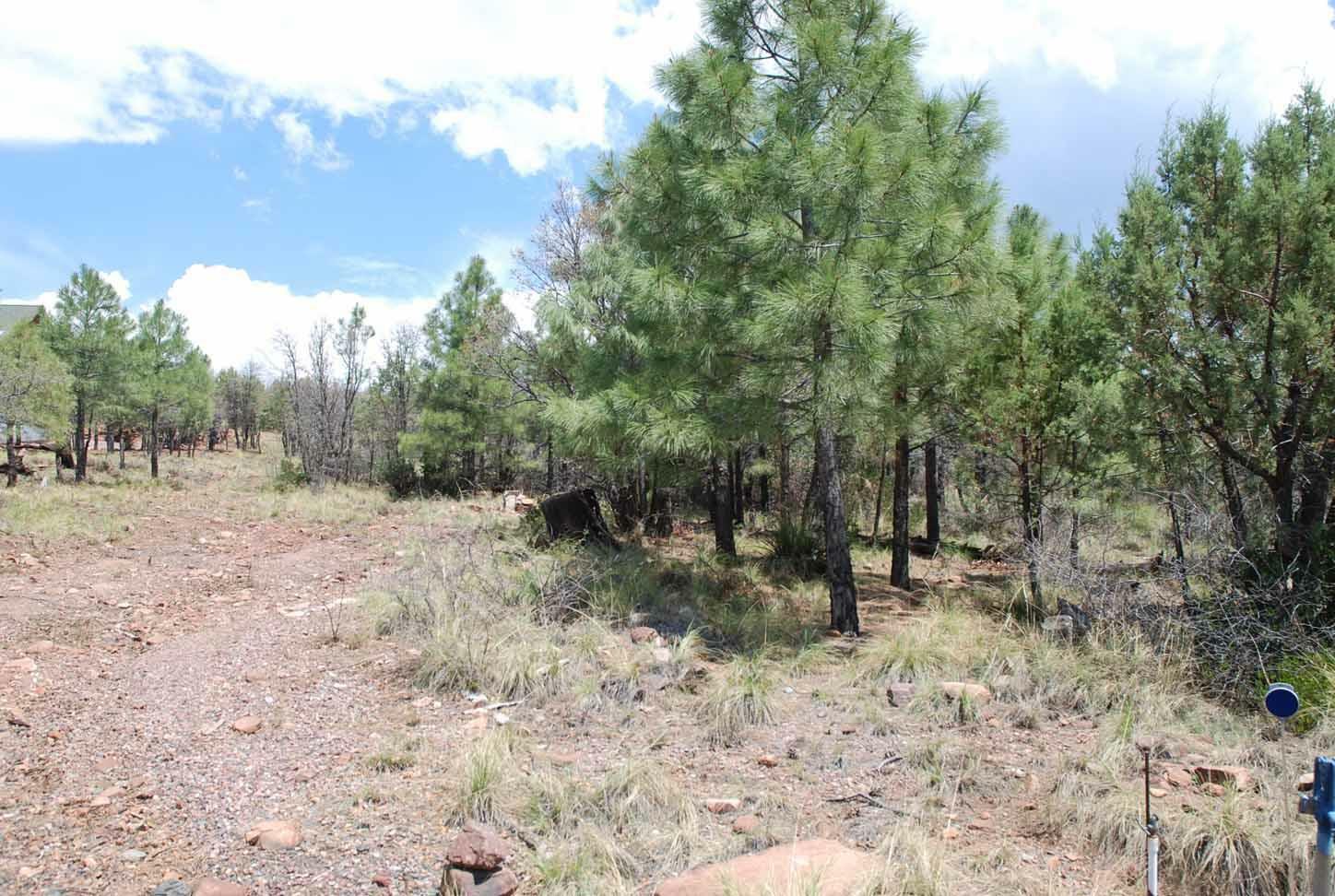 Property Photo:  Lot 39 Antelope Trail  AZ 85541 