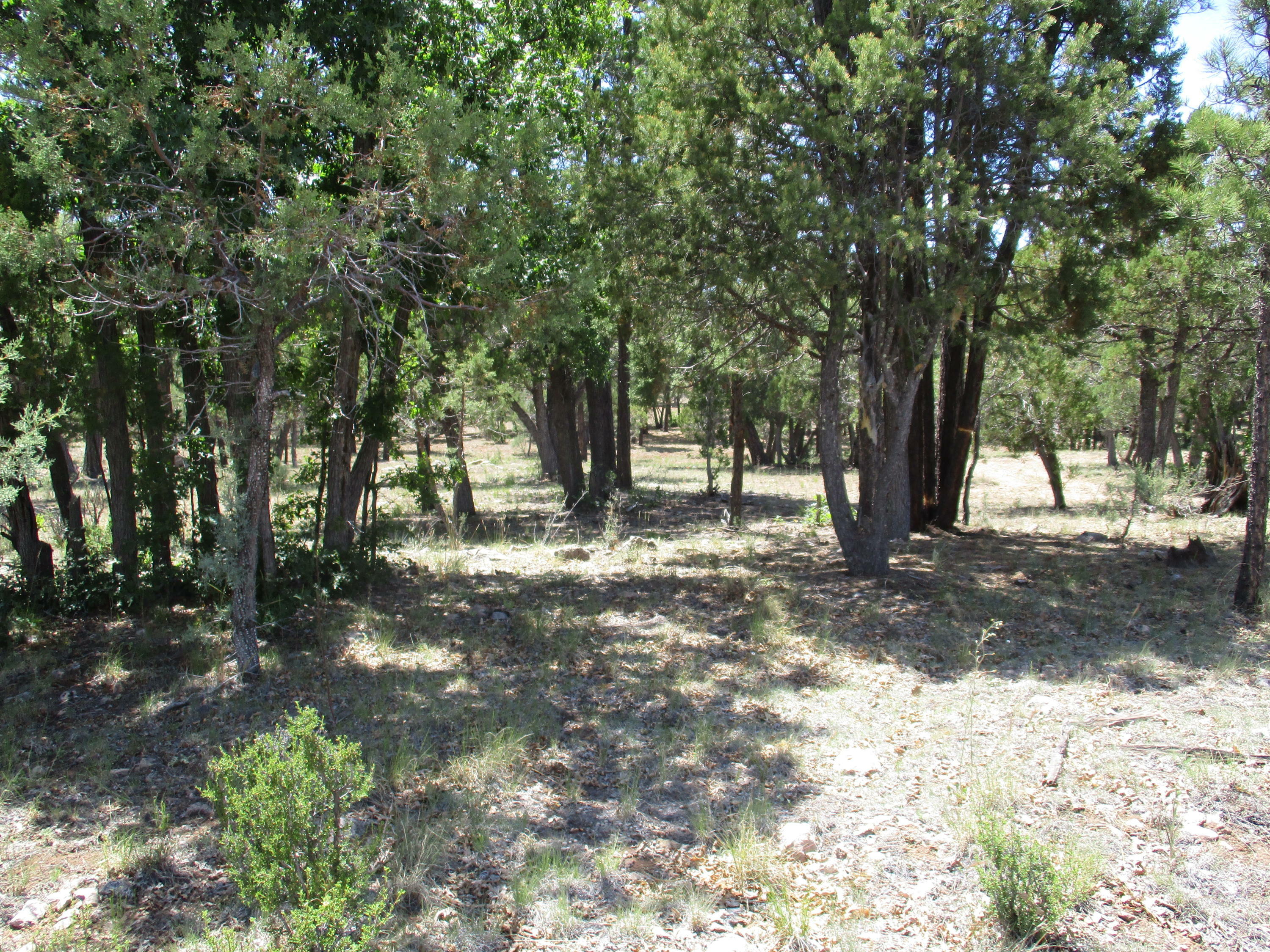 Property Photo:  3829 Durango Drive  AZ 86024 