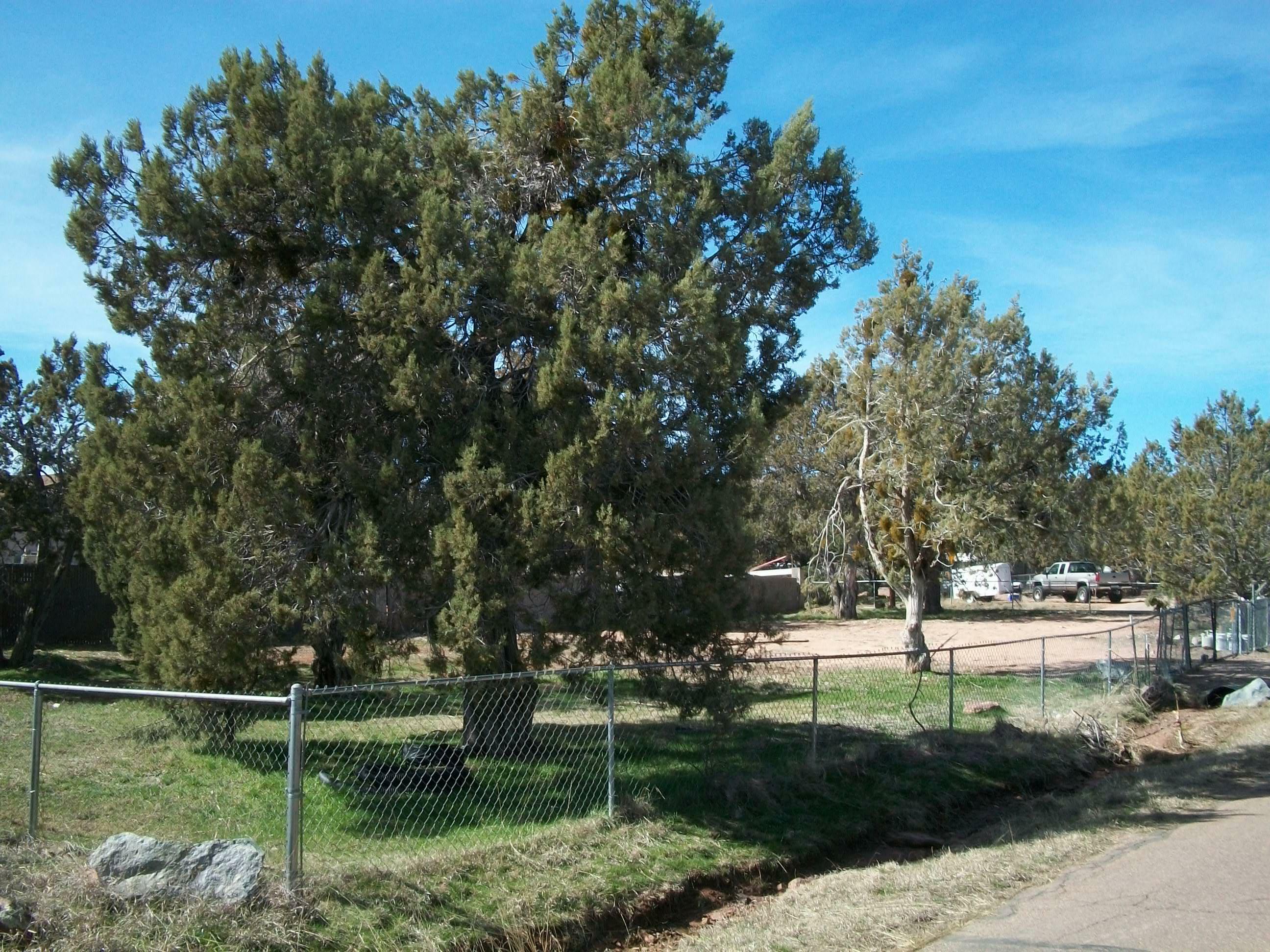 Property Photo:  704 N Vista Road  AZ 85541 