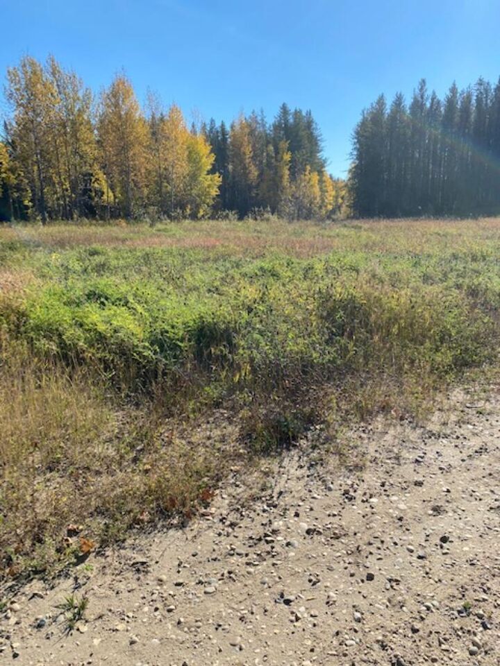 Property Photo: Lot 32 Flats Road Road AB T7S 0E5