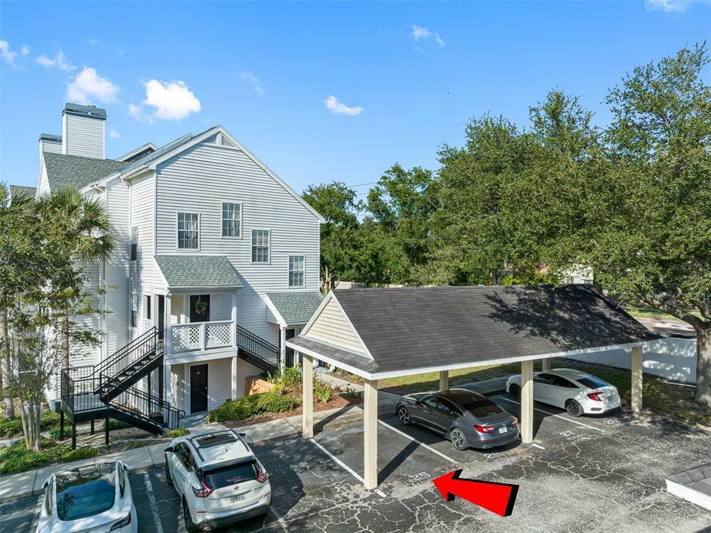 Property Photo: 3305 Haviland Court 103 FL 34684