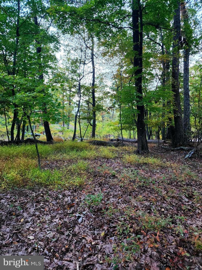 Property Photo: Trapper Ridge Lane WV 25427