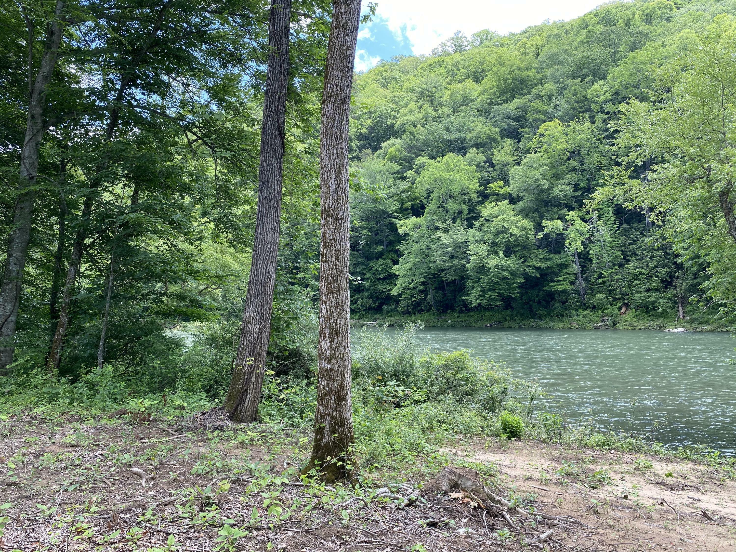 Property Photo:  0 Camp Road (County Route 30/2)  WV 24901 