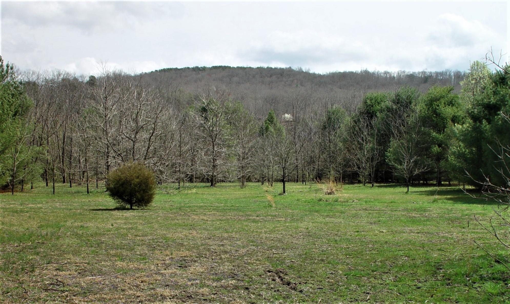 Property Photo:  Red Rock Drive  WV 24935 