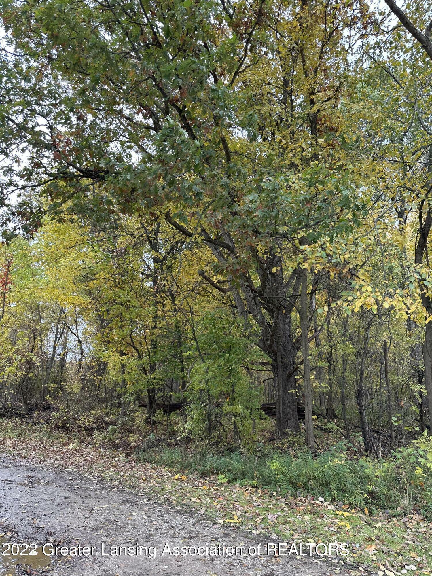 Property Photo: 0 Round Lake Road MI 48848