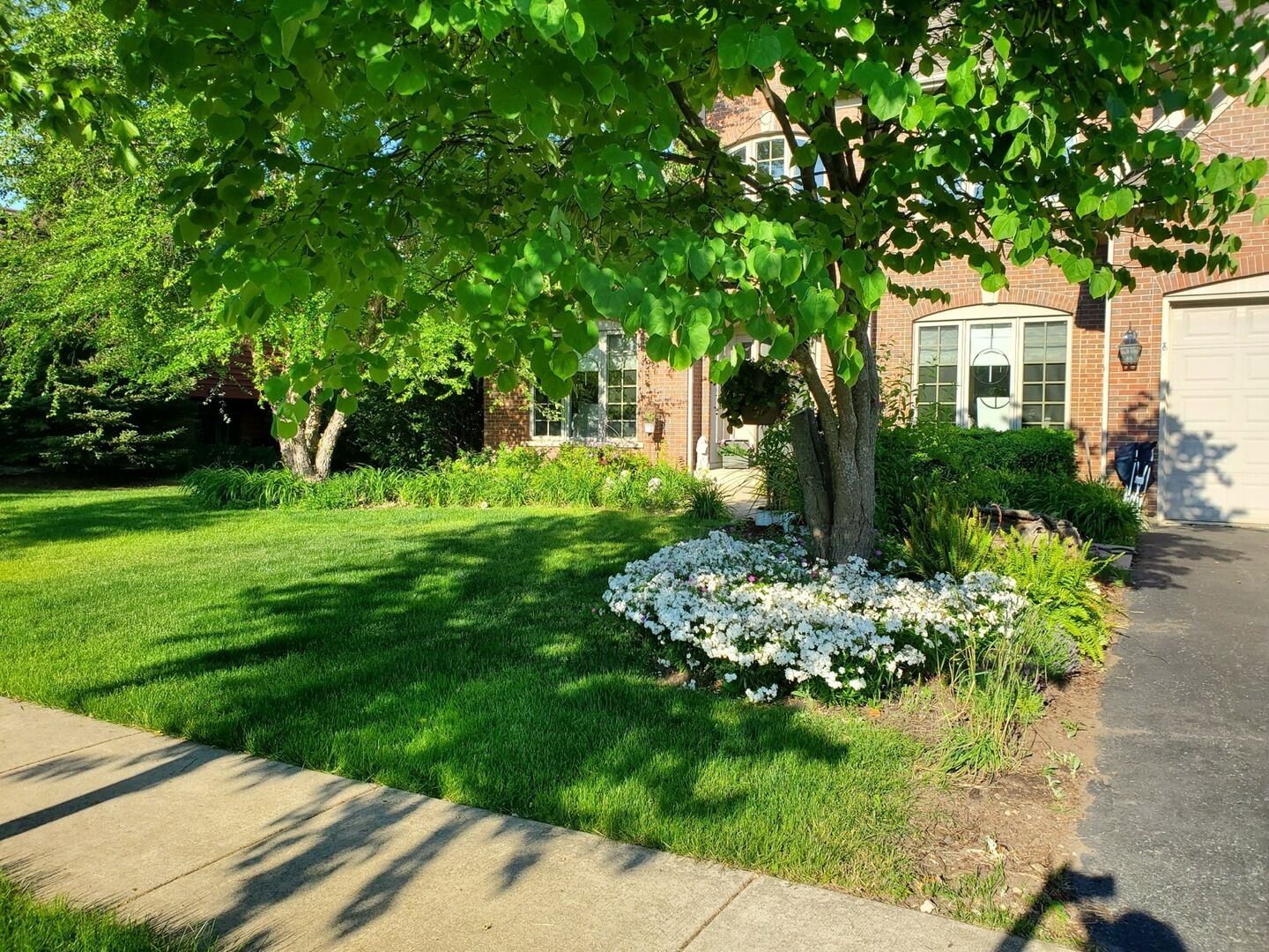 Property Photo:  732 Fox Run Drive  IL 60134 