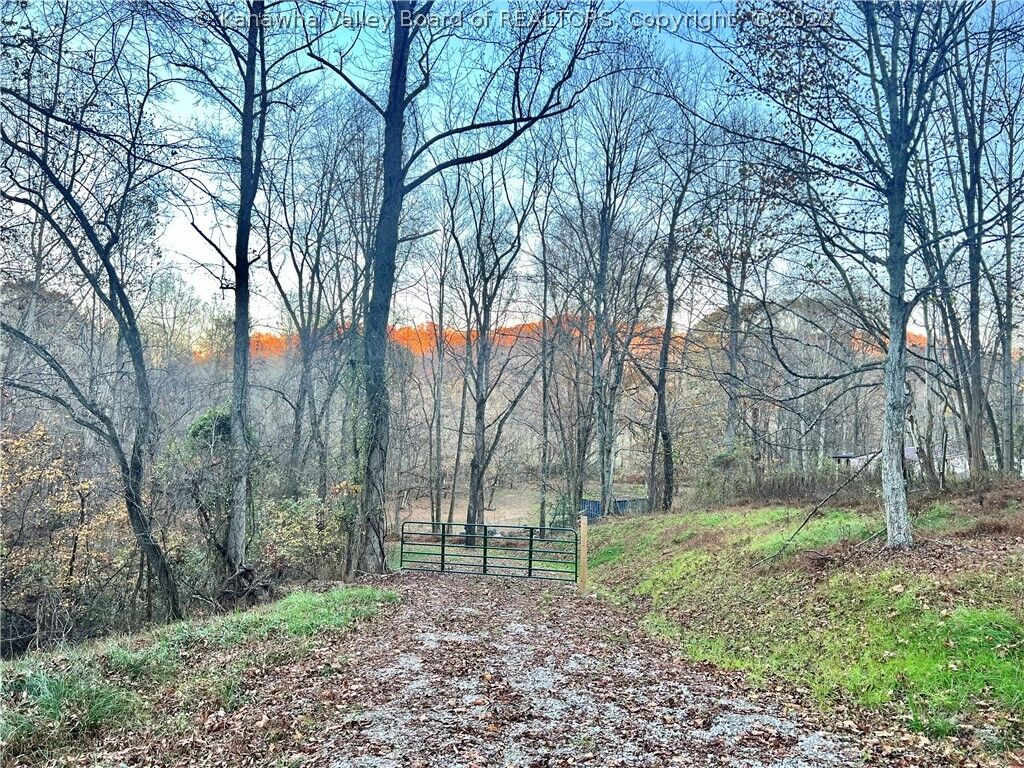 Property Photo:  0 Hedrick Road  WV 25560 