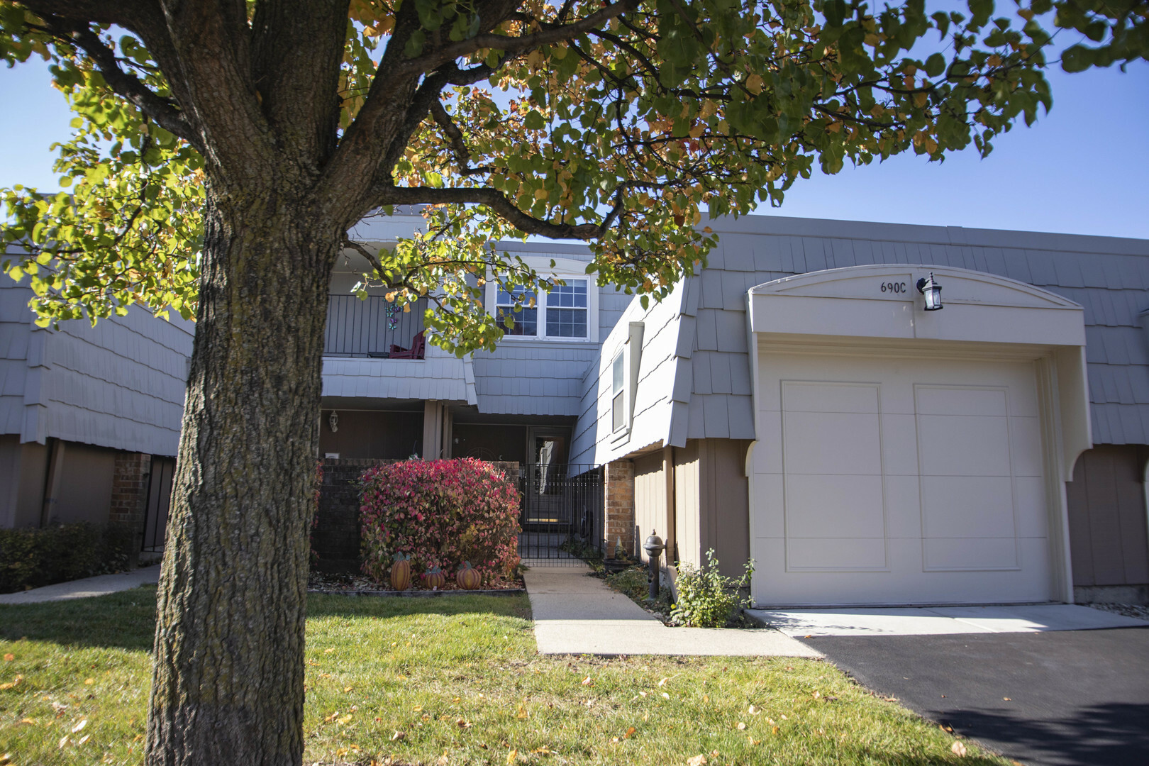 Property Photo:  690 Versailles Circle C  IL 60007 