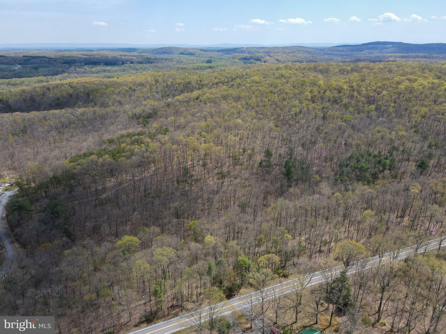 Property Photo:  117.23 Ac Cherry Run  WV 25427 