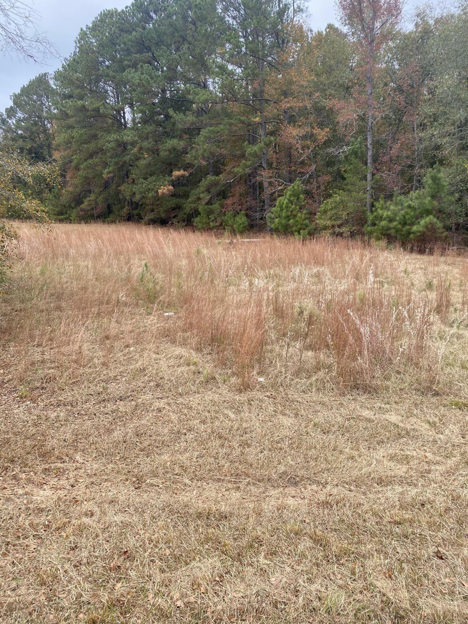 Property Photo:  0 Mayfield Road  GA 30828 