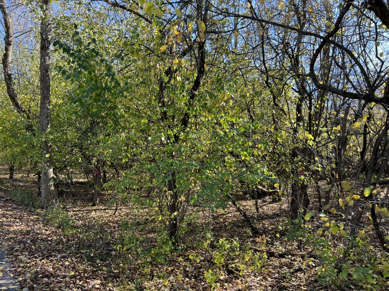 Property Photo: 25423-53 W North Hill Drive IL 60010